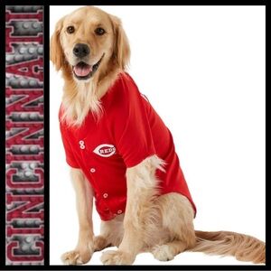 NWT Cincinnati Reds Dog Jersey - Black